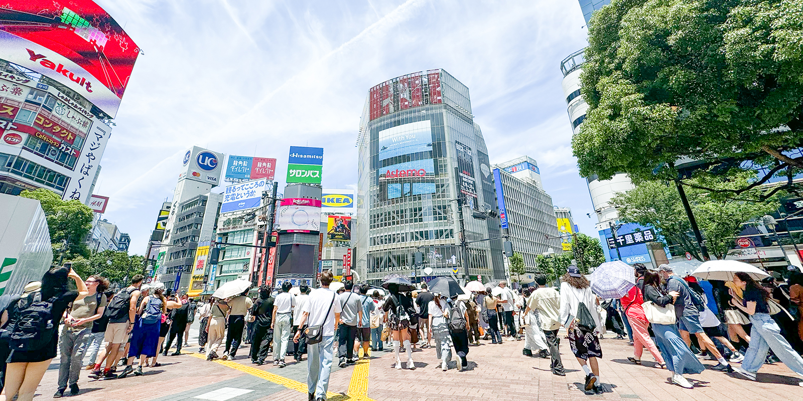 株式会社blazeの会社概要